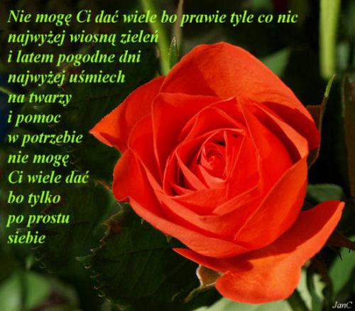 nie mogę Ci dać wiele