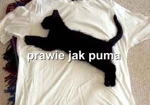 prawie robi różnicę