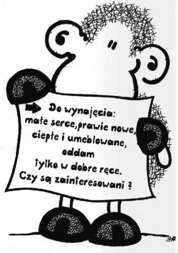 do wynajęcia...