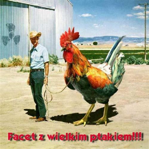 http://www.ekartki.pl/cards_files/15/15559__pokaz-Smieszne_zdjecia-facet_z_wielkim_ptakiem.jpg