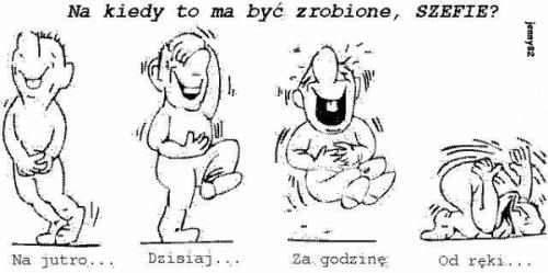 SZEFIE - nie rozśmieszaj!
