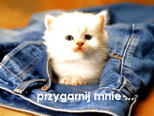 przygarnij mnie