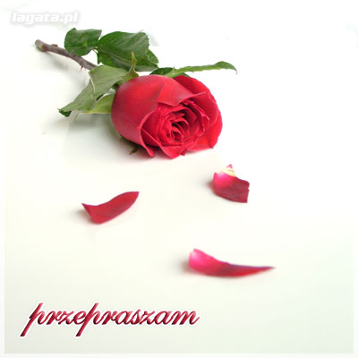 przepraszam...