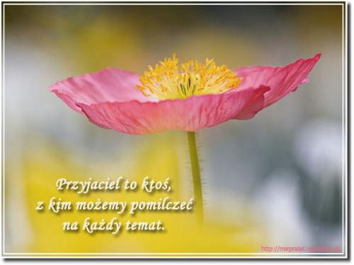 POMILCZMY SOBIE....
