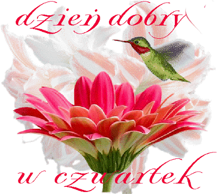 Już czwartek..