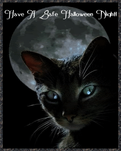 Have A Gafe Halloween Night!