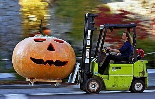 Halloweenowy prezent dla Ciebie