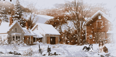 ŚNIEŻYCA