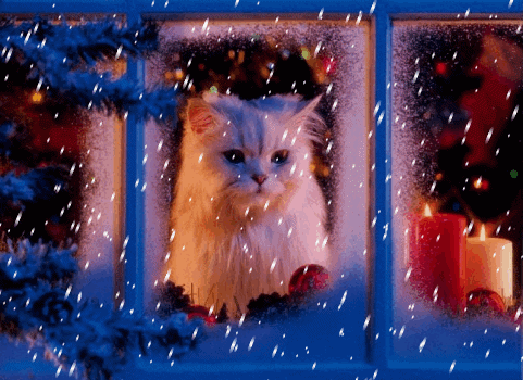 http://www.ekartki.pl/cards_files/29/29227_kotek_i_snieg.gif