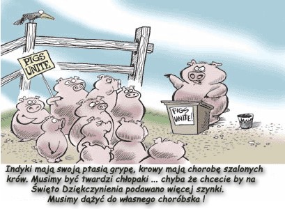 Niiiieeeee.......damy się!!!