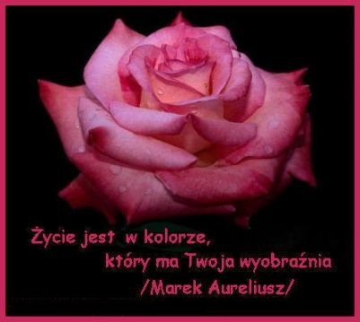 Jaki kolor ma dzisiaj Twoje.....?
