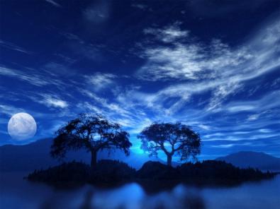 ♥noc♥
