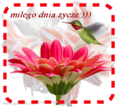 http://www.ekartki.pl/cards_files/32/32787_4r2b8k.gif