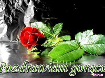Kwiatek dla Ciebie :)