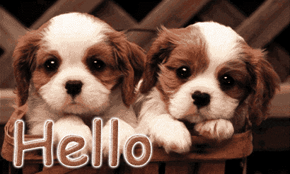 Hello