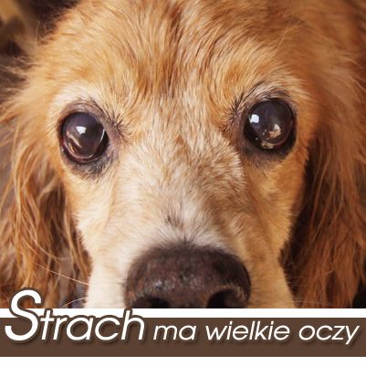 Strach ma wielkie oczy