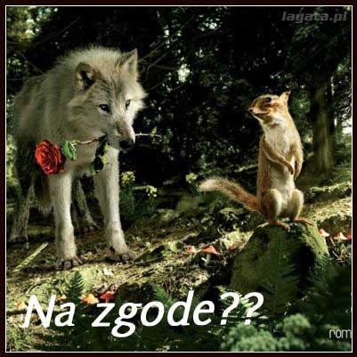 Na zgodę