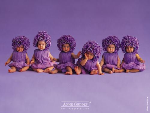 http://www.ekartki.pl/cards_files/8/8502_fotografie%20dzieci%20-%20geddes%20-%2036.jpg
