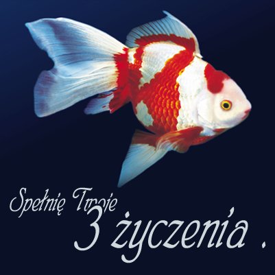 3 życzenia