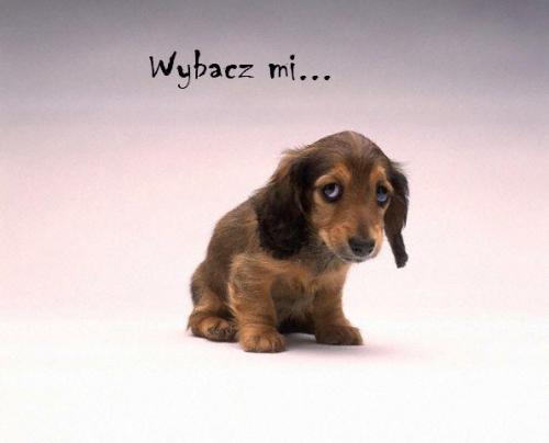 Wybacz mi